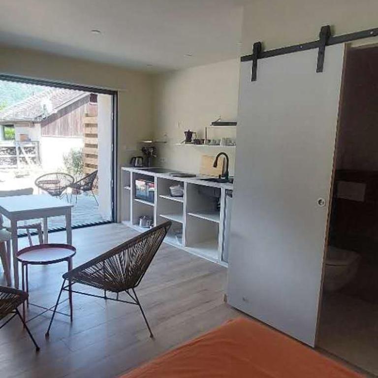 La grange Studio à 100 mètres du lac N1 - One-Bedroom Apartment - 4