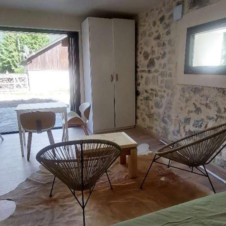 La grange Studio à 100 mètres du lac N1 - One-Bedroom Apartment - 10