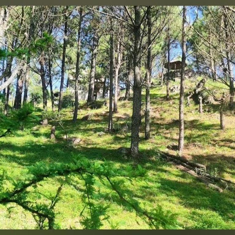Tierra Nuestra - Apartamento de 2 dormitorios - 6