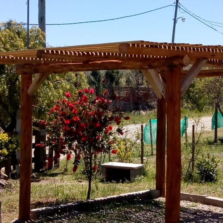 Tierra Nuestra - Apartamento de 2 dormitorios - 11