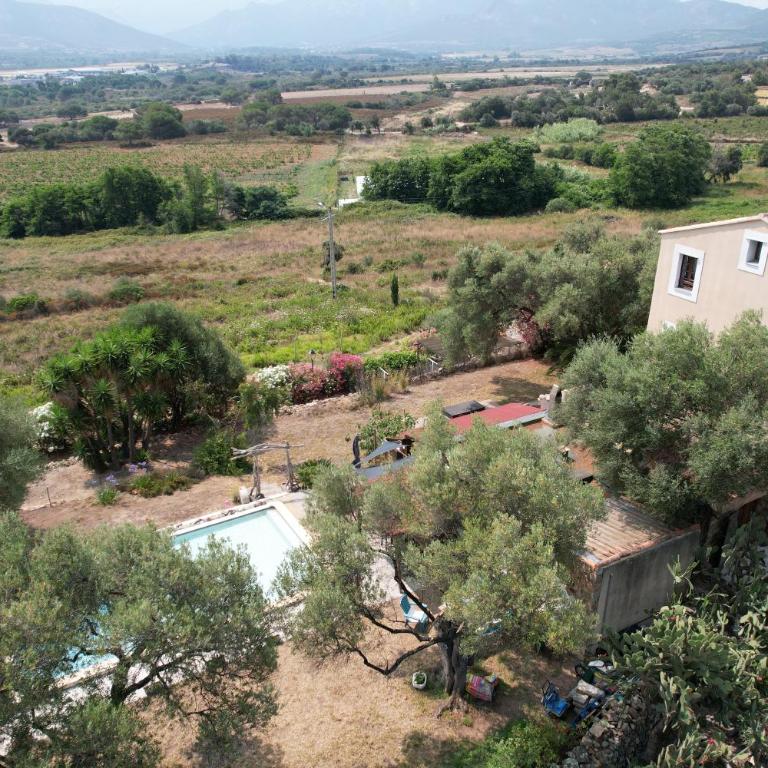 Calvi, 4-person apartment with pool, quiet, close to beaches, piscine, calme - Appartamento con 2 Camere da Letto e Terrazza - 2