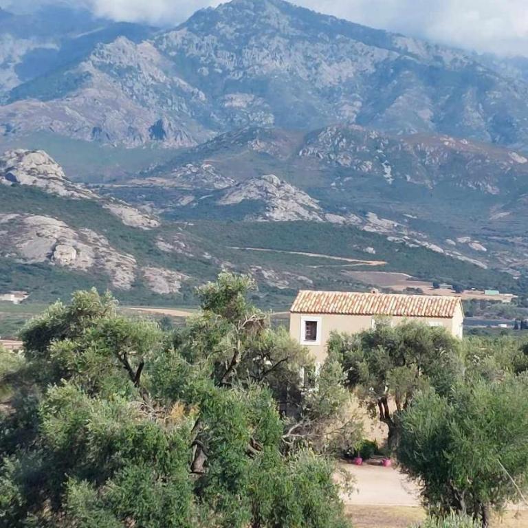 Calvi, 4-person apartment with pool, quiet, close to beaches, piscine, calme - Appartamento con 2 Camere da Letto e Terrazza - 4