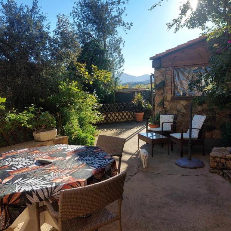 Calvi, 4-person apartment with pool, quiet, close to beaches, piscine, calme - Appartamento con 2 Camere da Letto e Terrazza - 5