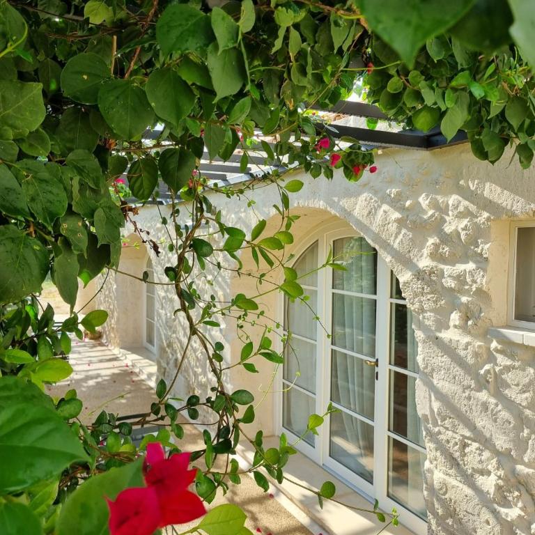Masseria Vaccaro - Boutique Hotel - Camera Matrimoniale con Vista Giardino - 5