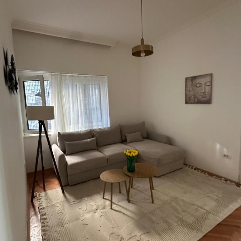 Apartment Skadarlija iza coska - One-Bedroom Apartment - 3
