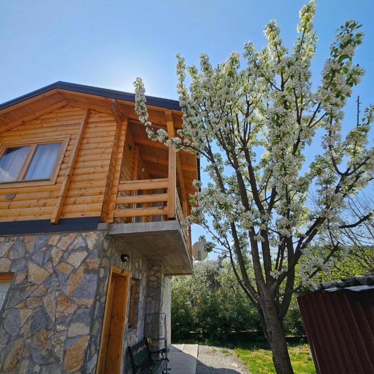 Vila Helena - Kuća sa 3 Spavaće Sobe - 2