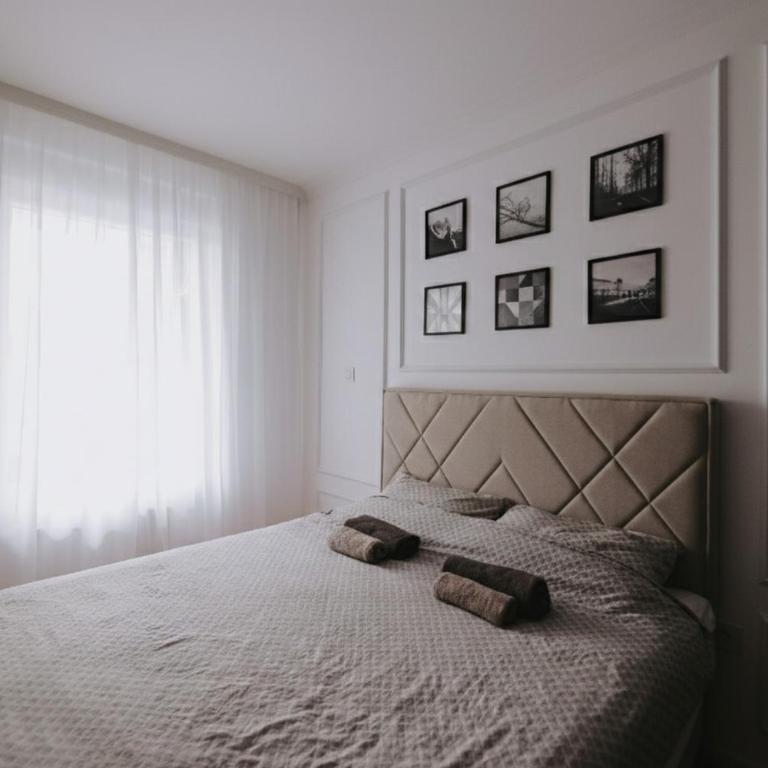 Park Residence - Luxury Apartment with Garage - Apartman sa 1 Spavaćom Sobom - 11