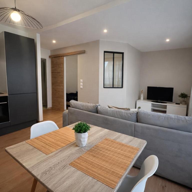 Le Nid Strasbourgeois - Appartement 1 Chambre - 1