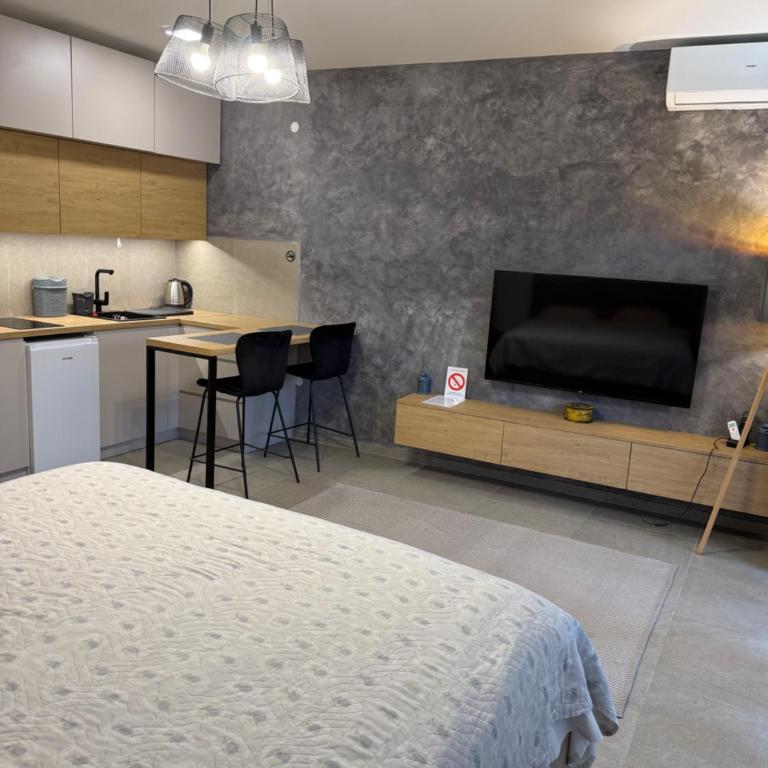Apartment Niš - Studio with Balcony - 7
