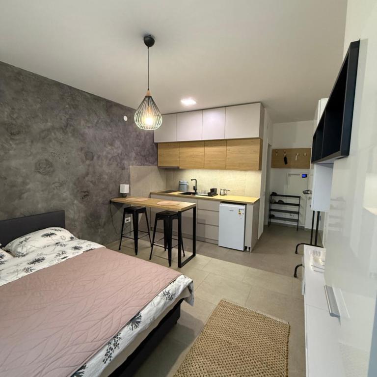 Apartment Niš - Studio with Balcony - 4