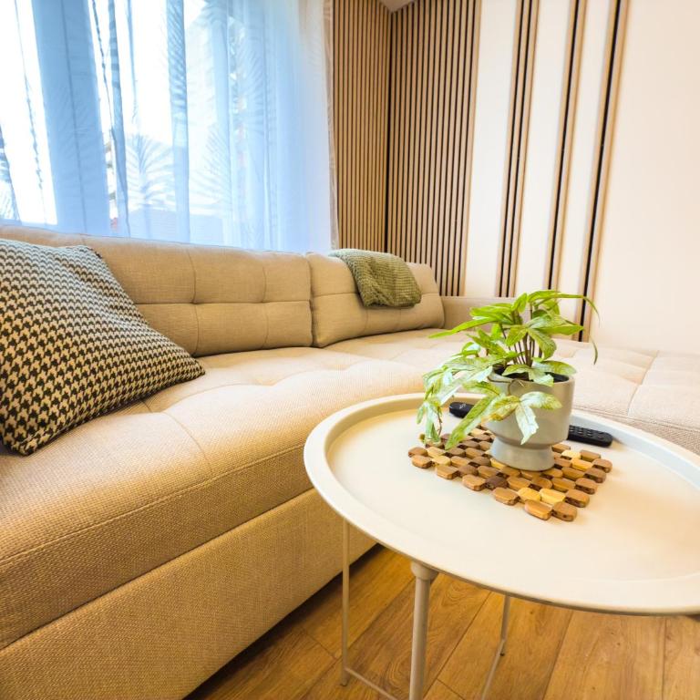 Cherry Magic apartment Sarajevo - Two-Bedroom Apartment with Garden View - 7