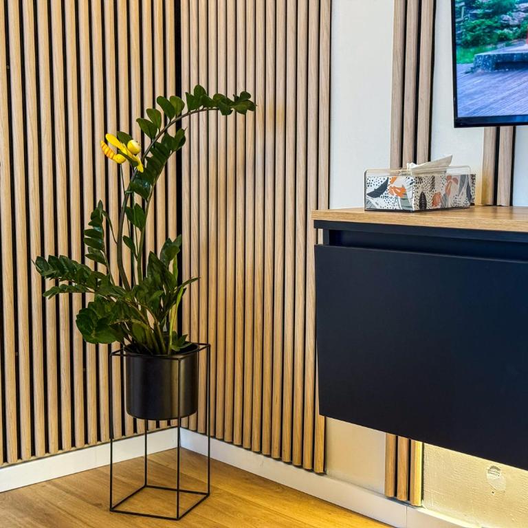 Cherry Magic apartment Sarajevo - Two-Bedroom Apartment with Garden View - 31