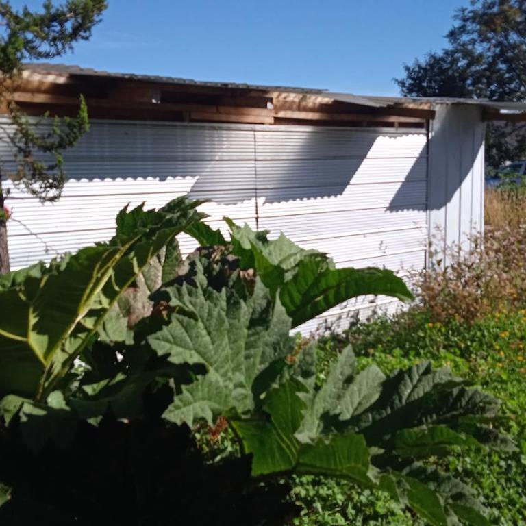 Refugio Patagonia Verde - Three-Bedroom House - 15