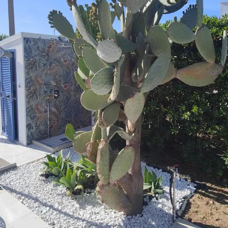 Pool Seaside Relais - VILLE Ninfea, Marea, Rosa e Cassiopea - Fontane Bianche - Maison 2 Chambres - 5