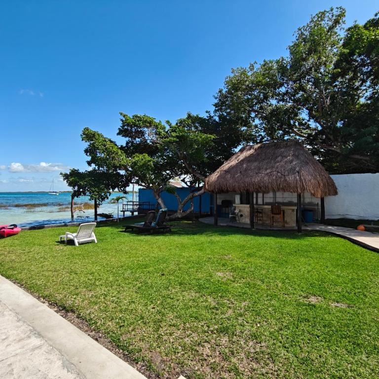 Departamentos Blue Bacalar - Apartamento de 1 dormitorio - 47