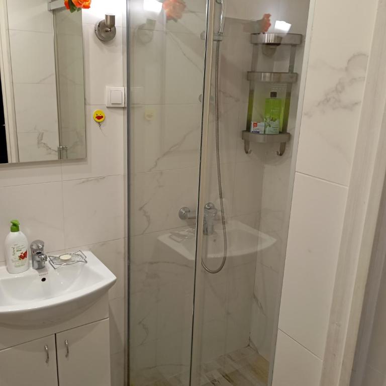 Belgrade apartment deluxe - Apartman sa 1 Spavaćom Sobom - 11