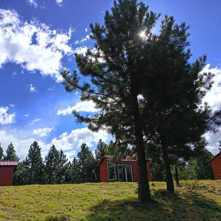 Ruta Divisadero - One-Bedroom House - 8