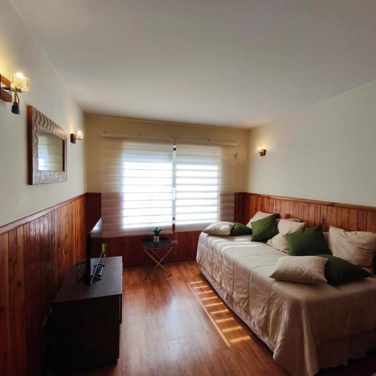 Pucon Parque Suizo Apartamento, primer piso - One-Bedroom Apartment - 2