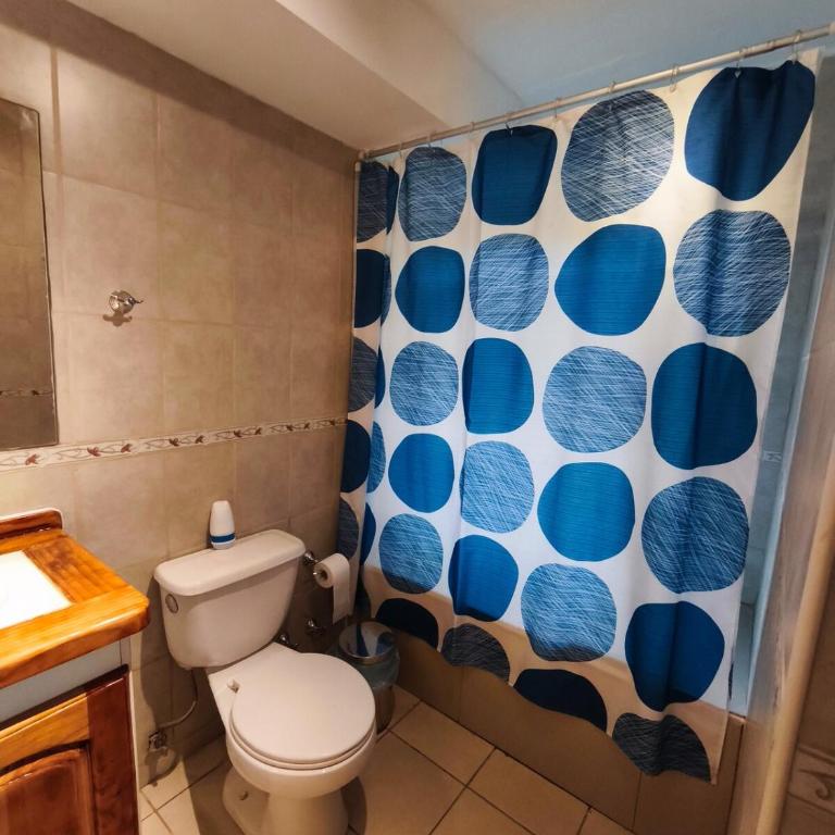 Pucon Parque Suizo Apartamento, primer piso - One-Bedroom Apartment - 3