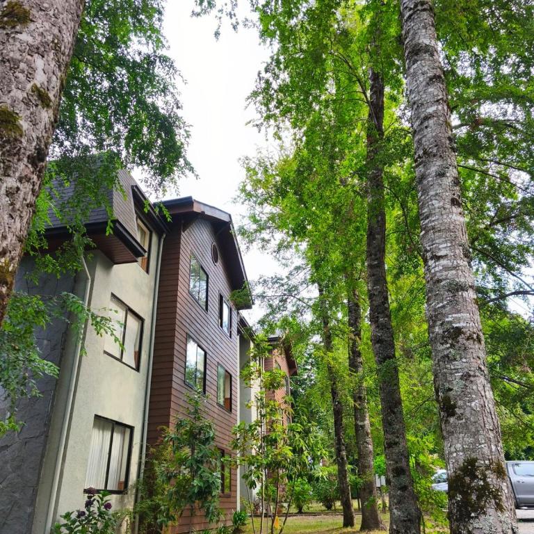 Pucon Parque Suizo Apartamento, primer piso - One-Bedroom Apartment - 4