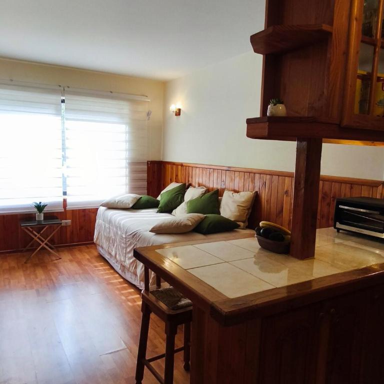 Pucon Parque Suizo Apartamento, primer piso - One-Bedroom Apartment - 7
