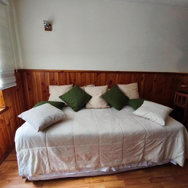 Pucon Parque Suizo Apartamento, primer piso - One-Bedroom Apartment - 10