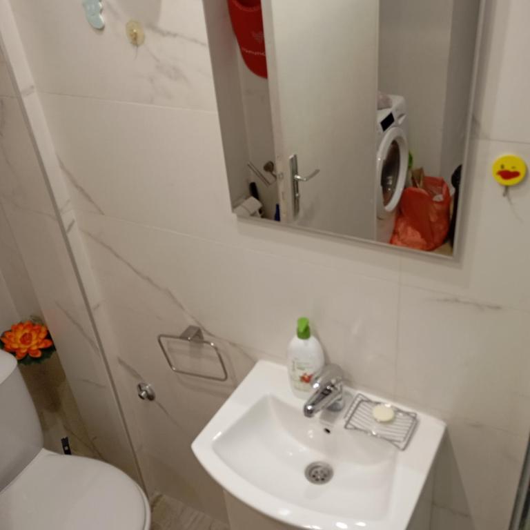 Belgrade apartment deluxe - Apartman sa 1 Spavaćom Sobom - 72