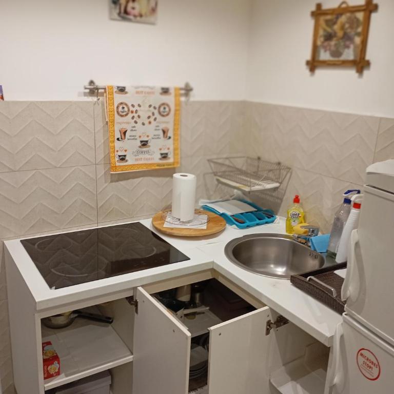 Belgrade apartment deluxe - Apartman sa 1 Spavaćom Sobom - 77