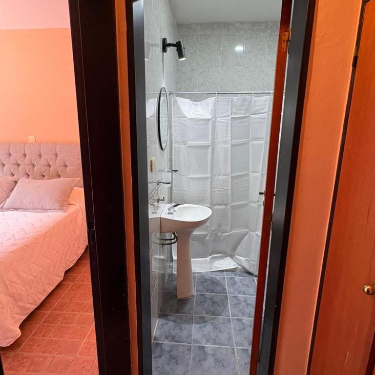 Complejo Zara - Apartamento - 7