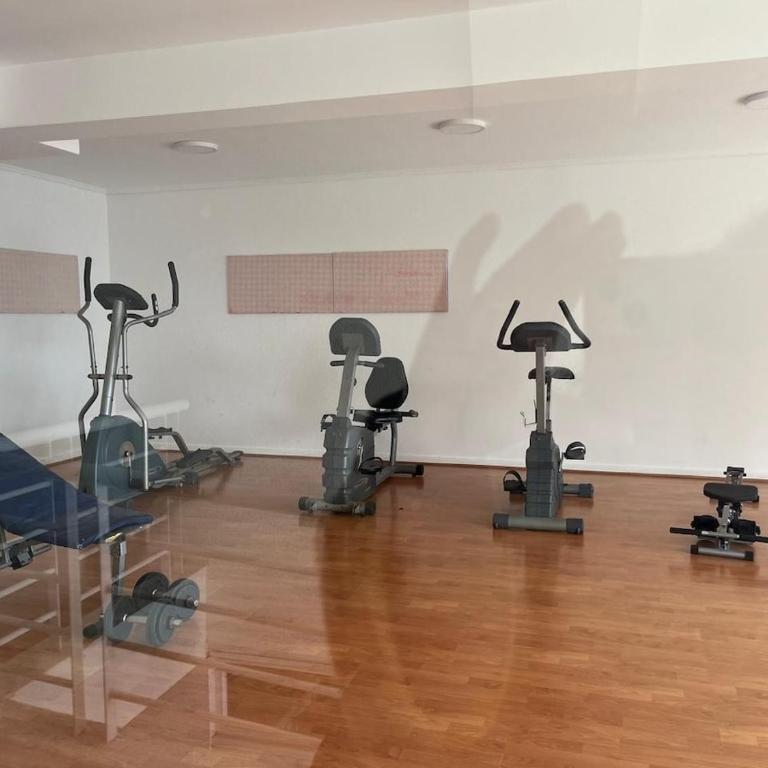 Apartment in Los Lilenes with exit to Borgoño - One-Bedroom Apartment - 3