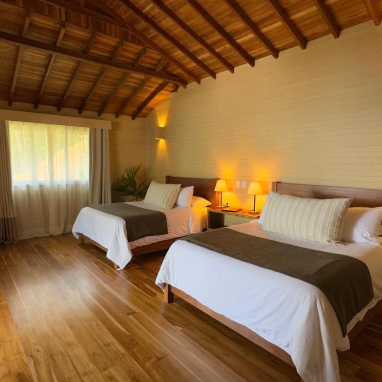 Black Sands Lodge - Suite Doble Deluxe - Cama grande - 9