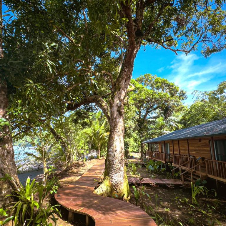 Black Sands Lodge - Suite Doble Deluxe - Cama grande - 1