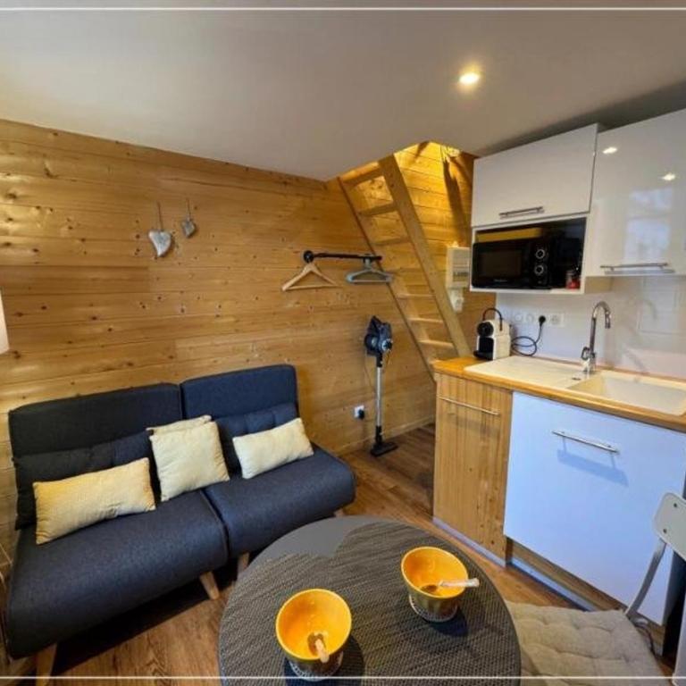 Charmant Studio Centre-ville 18 m² - Cauterets - FR-1-234-357 - Studio - 3