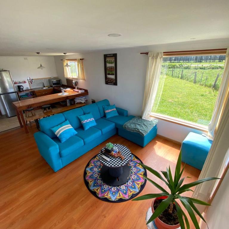 Entre Pinos y Volcanes - One-Bedroom House - 15