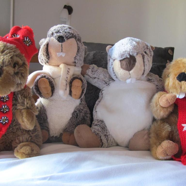 Hotel Restaurant La Turra - Suite - Vue sur Montagne - 8
