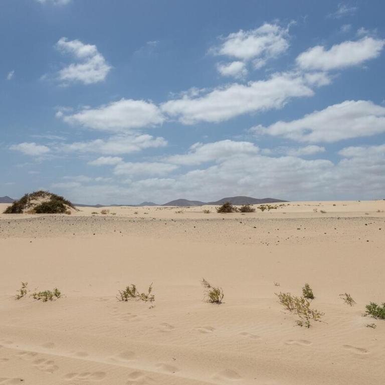 GuestReady - Paradise Home Corralejo - Apartamento - 17