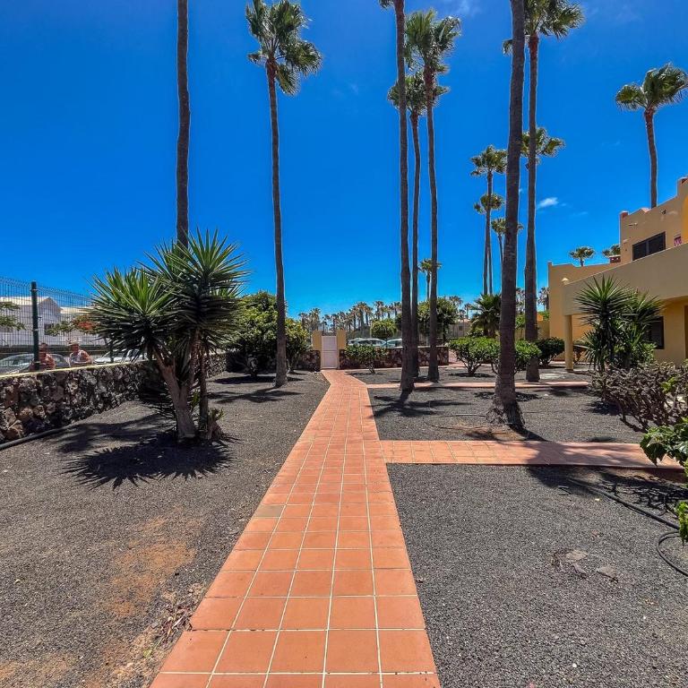 GuestReady - Oasis Royal Corralejo F313 - Apartment - 31