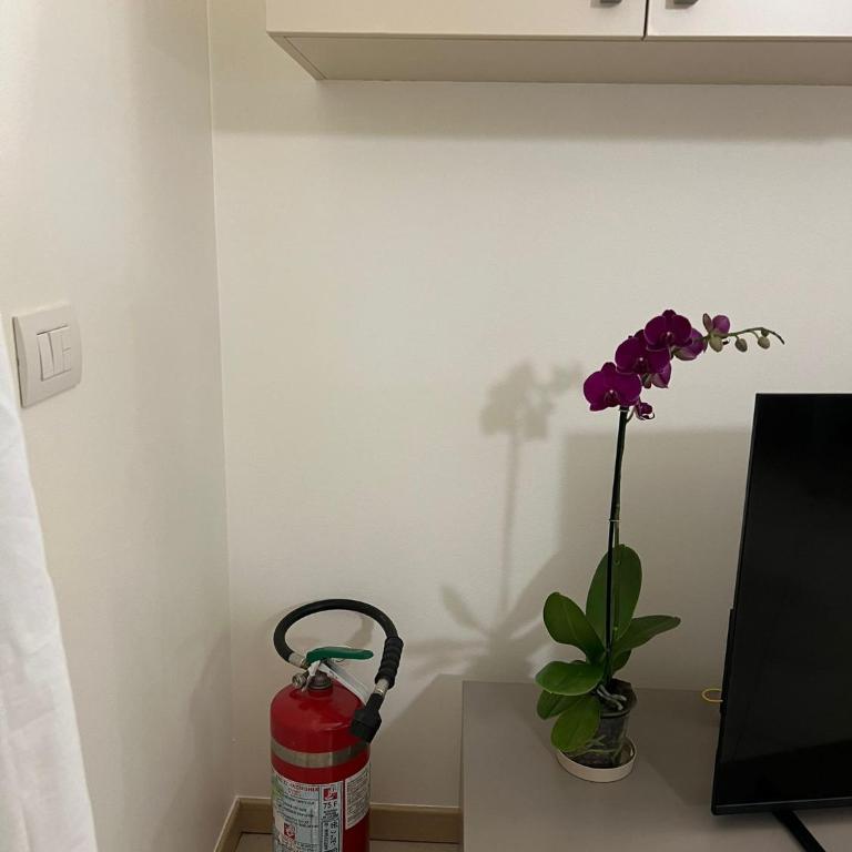 La Casina di Ollie - One-Bedroom Apartment - 34