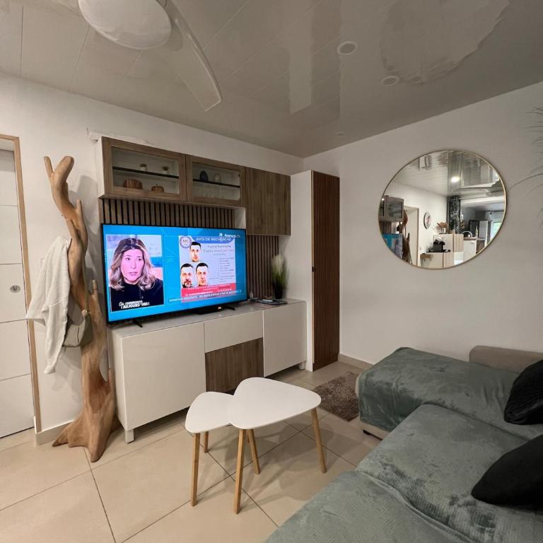 CALME ET MODERNE Appartement avec jardin, centre ville, - Appartement - Vue sur Jardin - 24