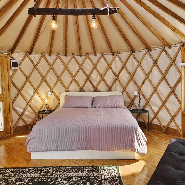 Yurta Coguil - Un descanso en el bosque - One-Bedroom House - 3