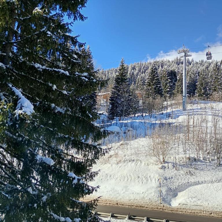 CAMPIGLIO Panorama sul Brenta - Apartment - 53