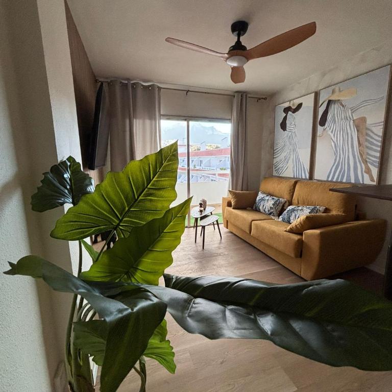Tajinaste SARA - Apartamento de 1 dormitorio - 7