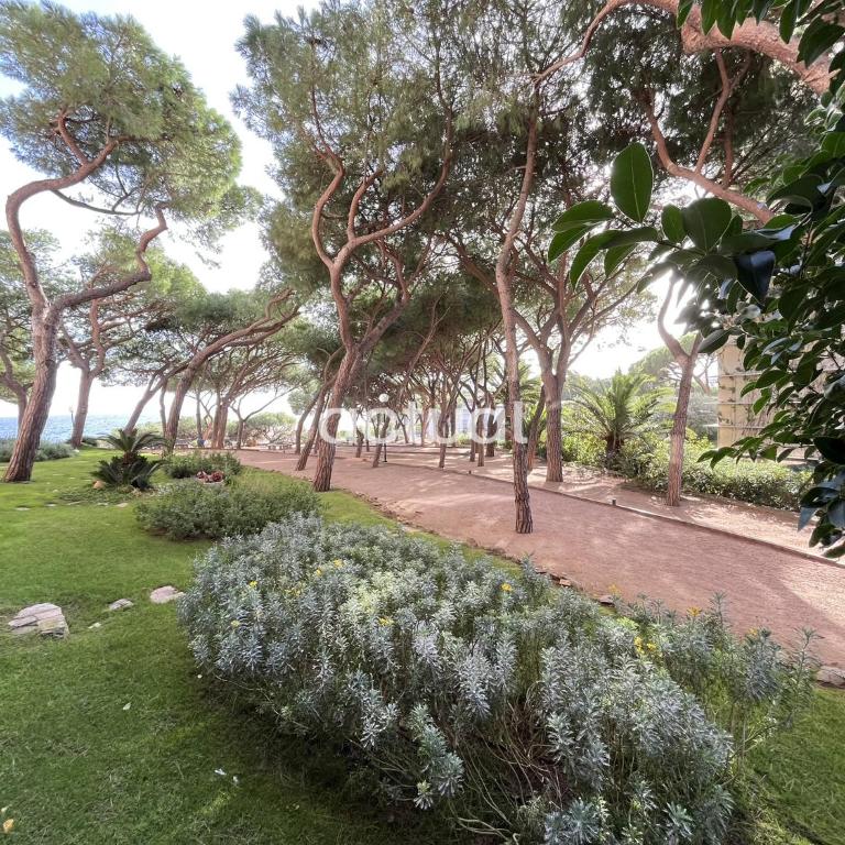 Cavall Bernat 10 - Apartamento de 2 dormitorios con balcón y vistas al mar - 10