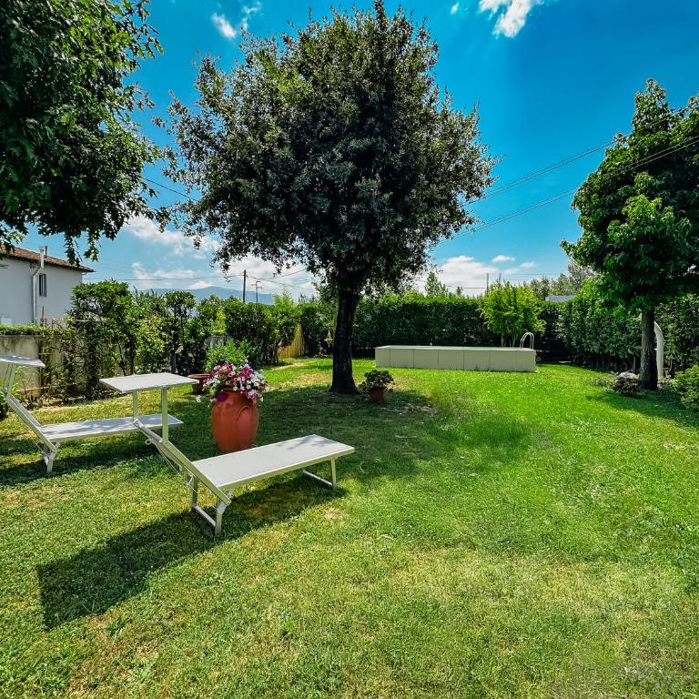 Relax in Lucca - Private Swimming Pool - Appartamento con 1 Camera da Letto - 2