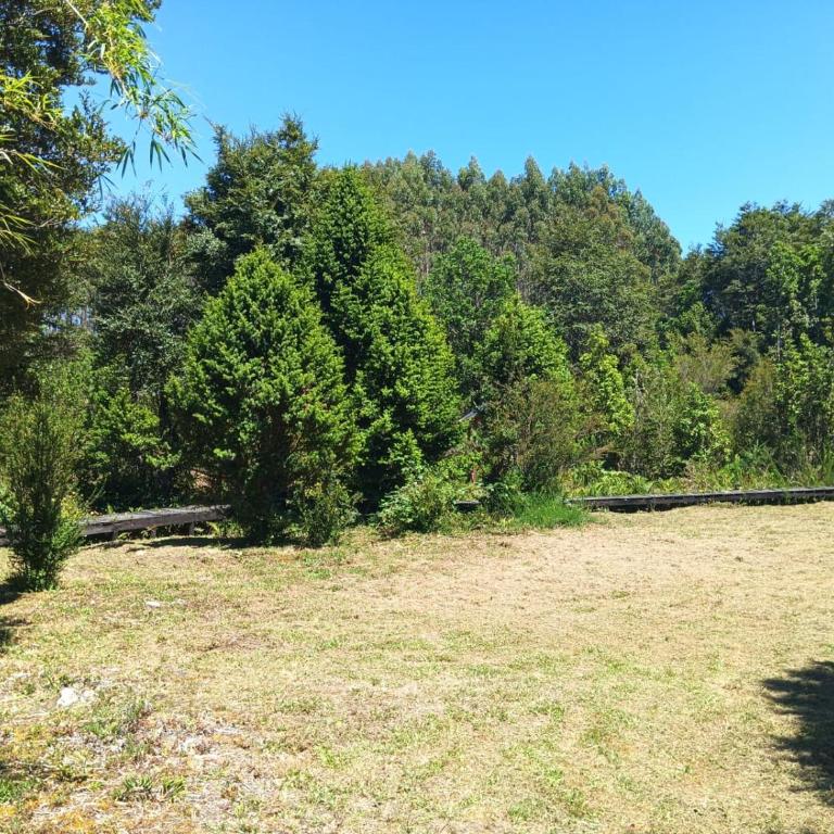 El Urco Chiloé - Cabaña La Fiura - One-Bedroom Apartment - 15