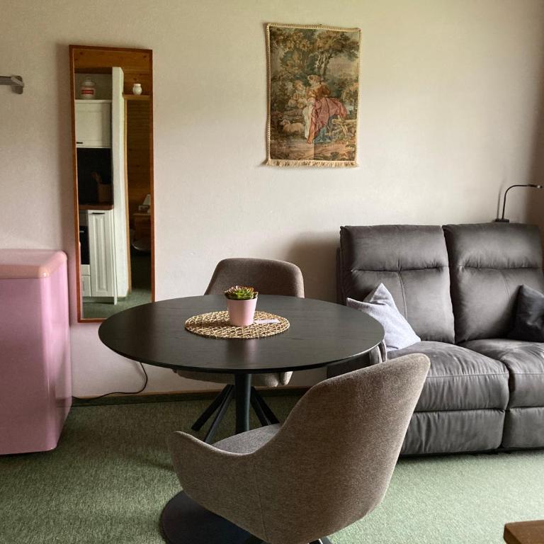 Ellmauhof - Appartement 1 Chambre avec Balcon - 1