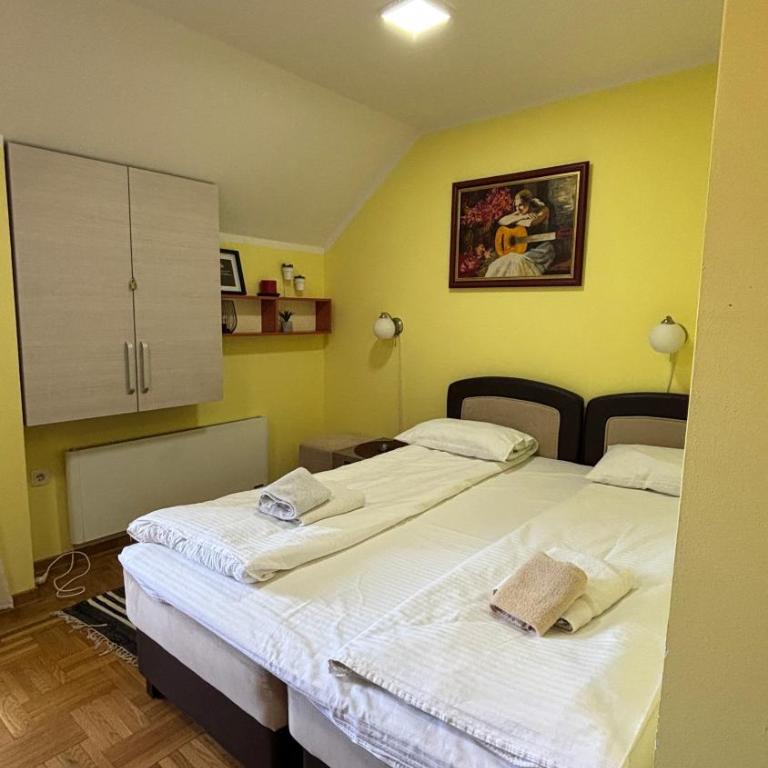 Apartman Pedja zlatiborski konaci 19/22 - Studio sa Balkonom - 6