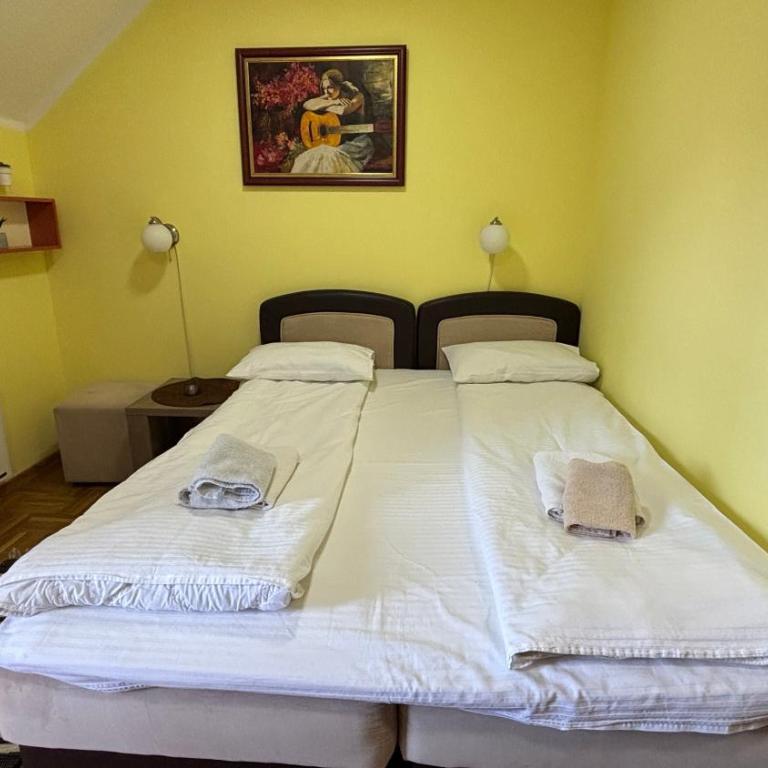 Apartman Pedja zlatiborski konaci 19/22 - Studio sa Balkonom - 5
