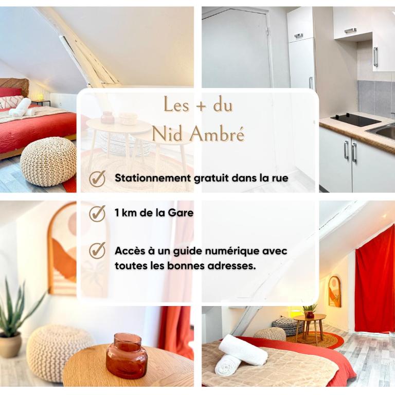 Le Nid Ambré - Proche gare & Wi-Fi - Appartement 1 Chambre - 2