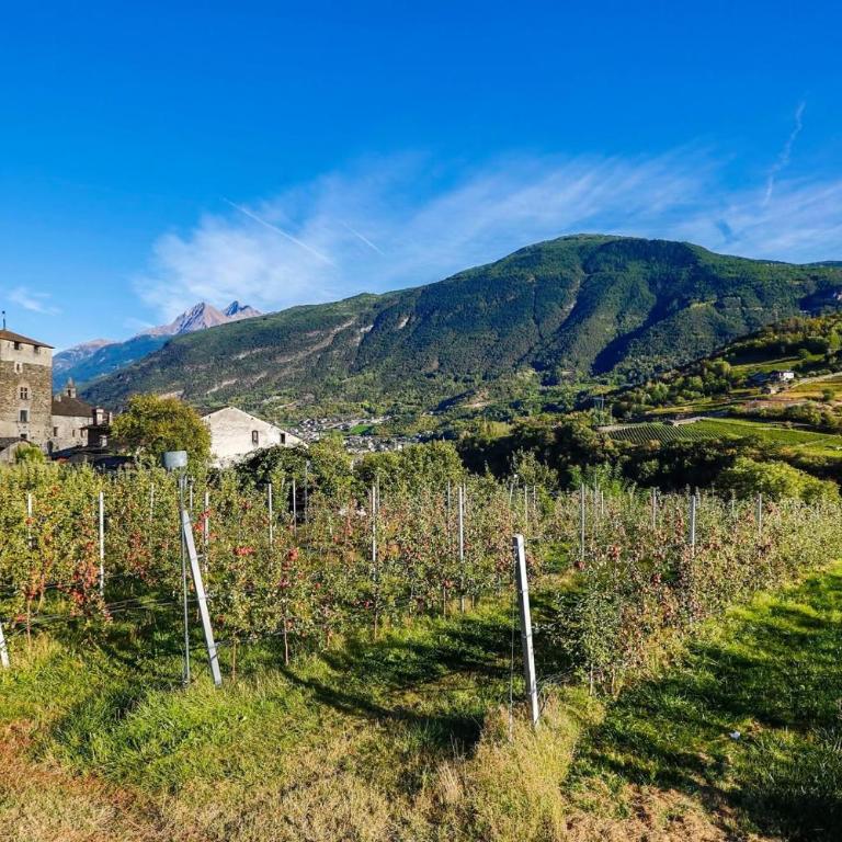 Maison Plan de Dieu - Appartamento con 1 Camera da Letto - 28